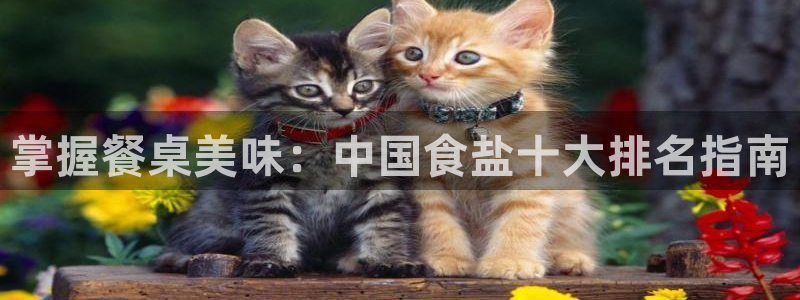 威九国际mb