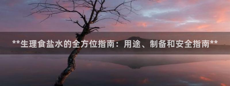 威九国际惠子