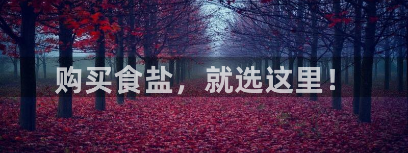 保定威九网络科技有限公司