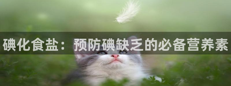 威九国际客服电话号码