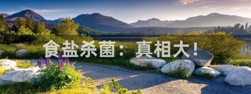 威九国际网站安全吗可靠吗