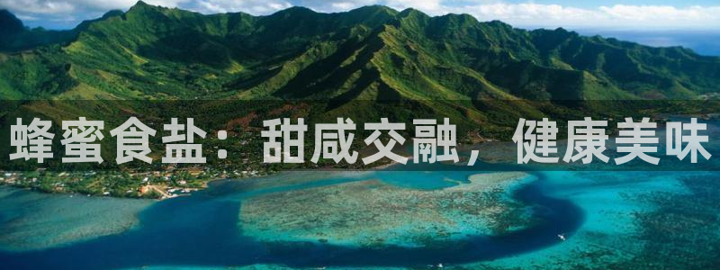 威九国际MV