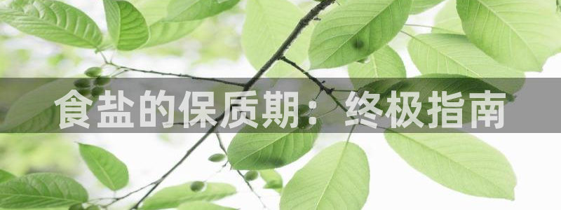 威九国际66m入口