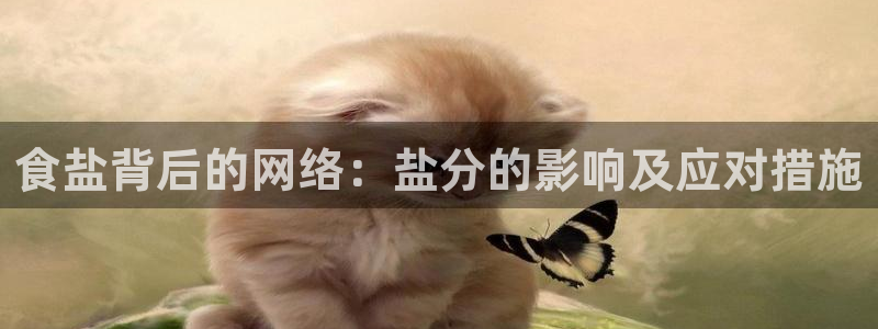 威九国际清砖码头怎么样
