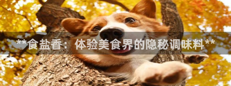 威九国际网站入口地址