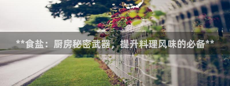 威九国际网站怎么样