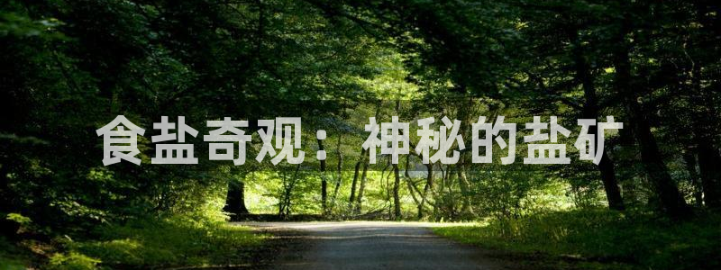 威九国际的女主