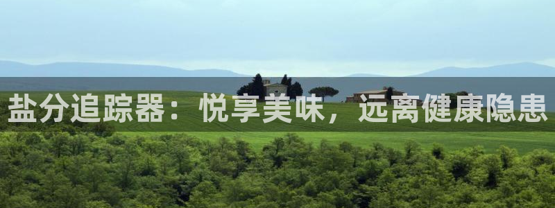 78mppt威九国际