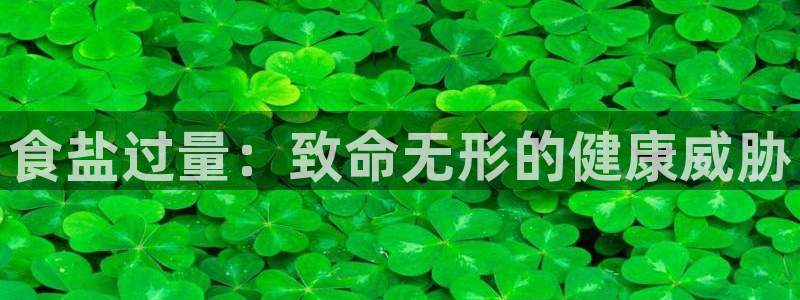 威九国际清砖码头怎么样