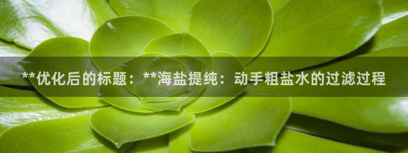 威九国际空降服务怎么样