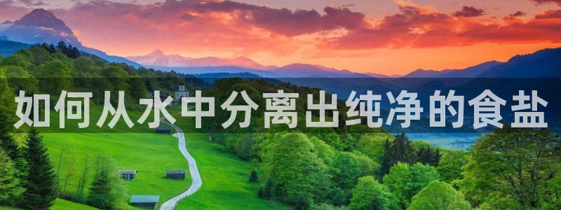 威九国际精彩推荐怎么样