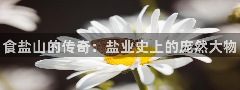 威九国际APP