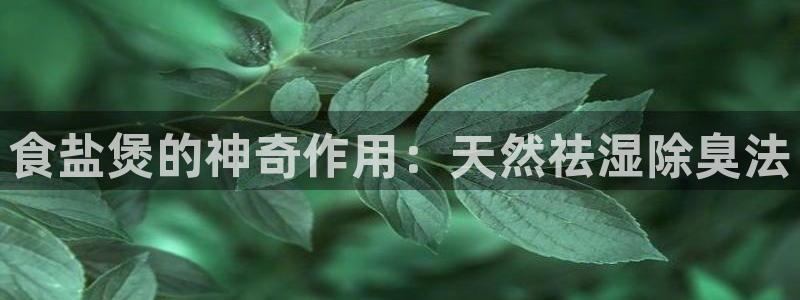 威九国际官方网站