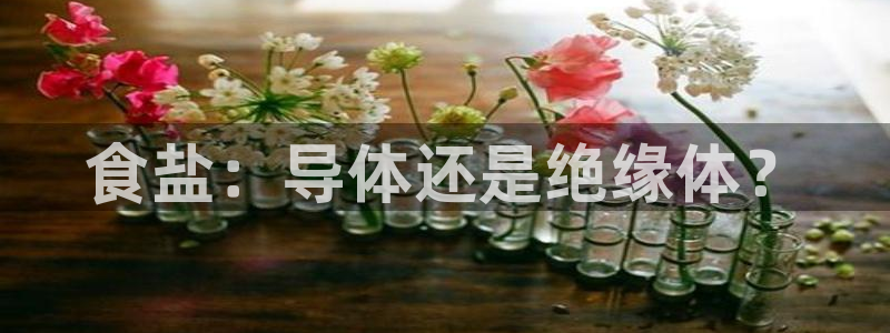 威九国际网站客服电话多少