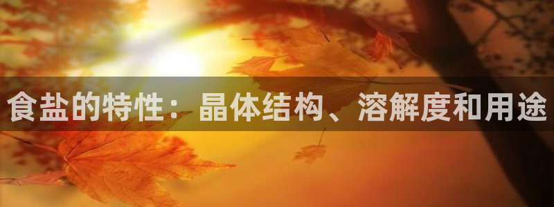 威九国际78mapp官网版下载