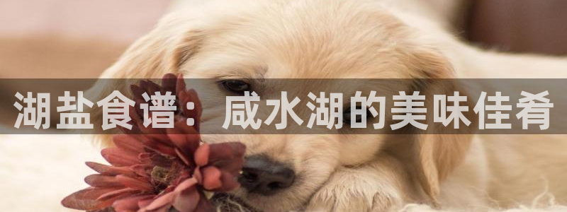 威九国际特殊奖励