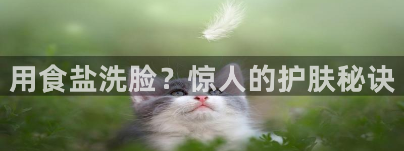 保定威九网络科技有限公司招聘
