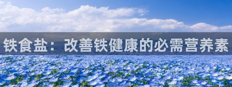 保定威九网络科技有限公司怎么样