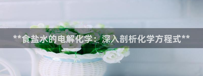威九国际v18