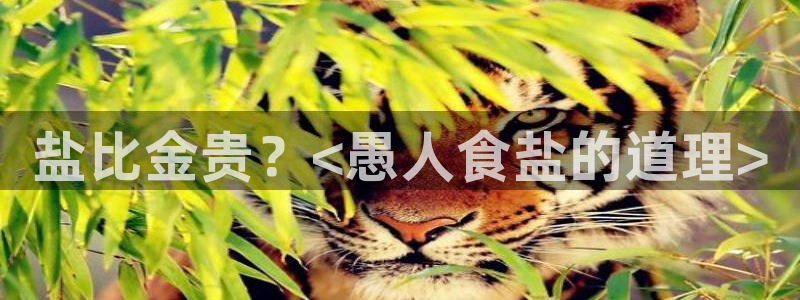 威九国际网站入口&rdpuo