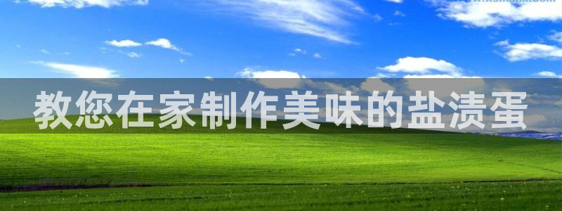 威九国际fX8x
