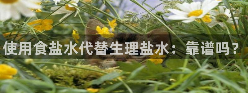 威九国际网站入囗