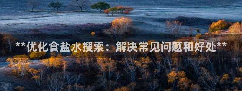 威九国际APP入口