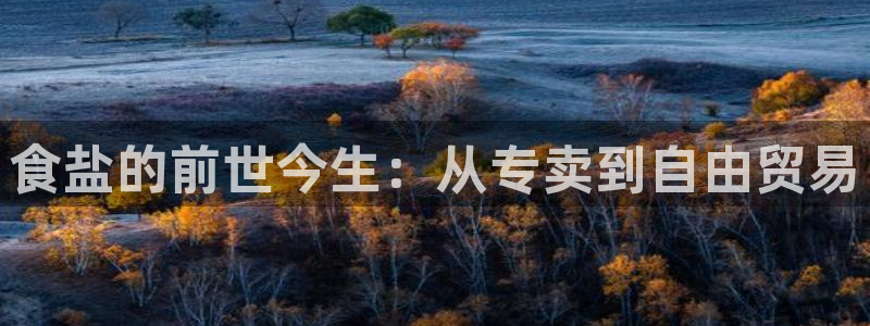 威九国际78app
