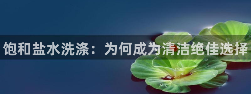 威九国际清砖码头在哪