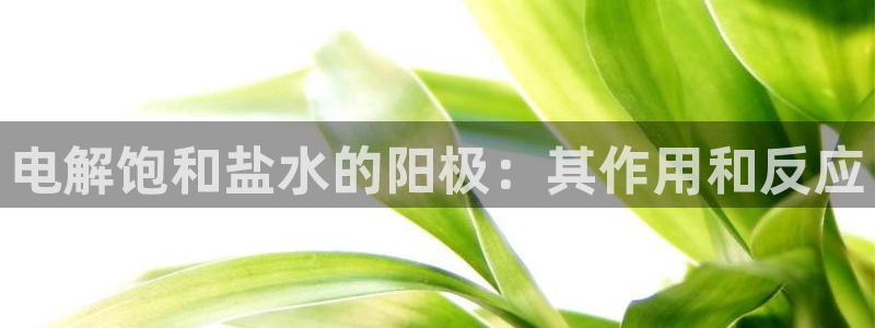威九国际男演员