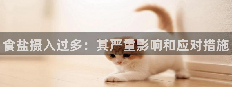 威九国际摩托电影HD