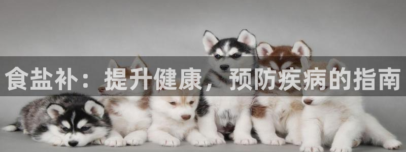 威九国际游戏app网址