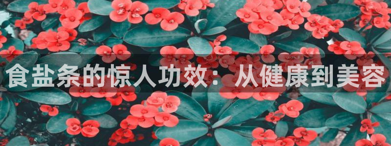 78mapp威九国际官网