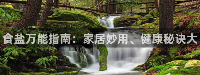 78mapp威九国际媒体央视