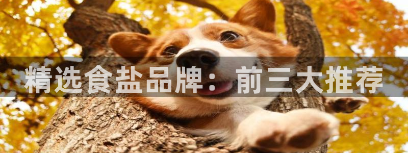 威九国际风情万种