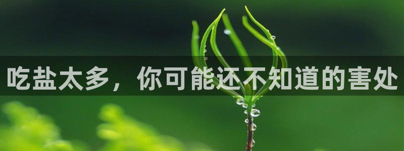 威九国际ppt免费