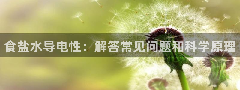 威九国际X8