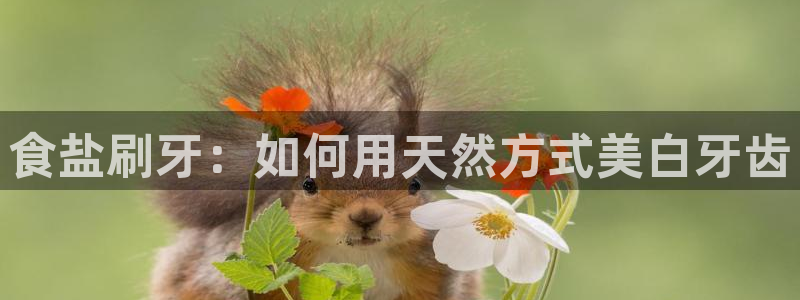 威九国际人民网