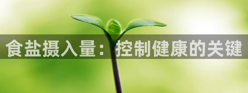 威九国际摩托电影HD