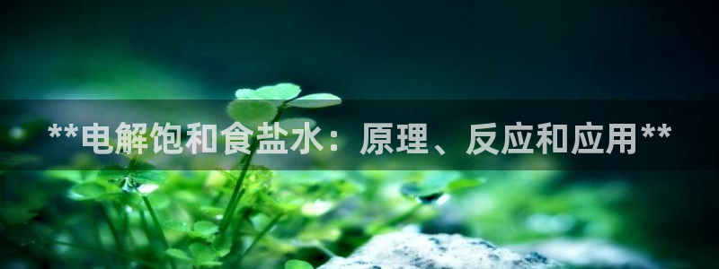 威九国际韩国