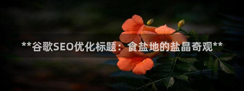 威九国际app网站安全吗