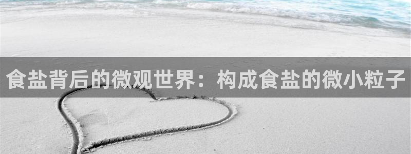 威九国际成长模式