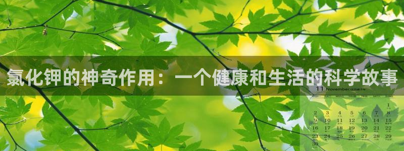 威九国际78mb游戏