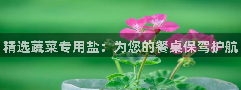 威九国际66m官网版