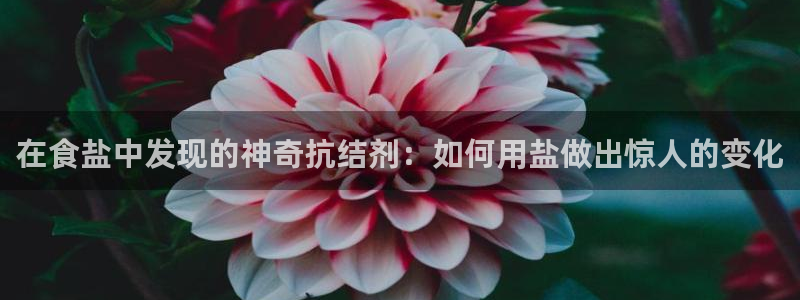 威九国际全国空降