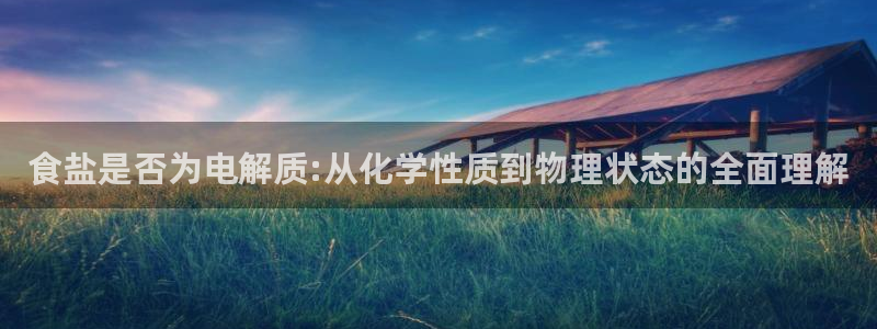 威九国际电子有限公司