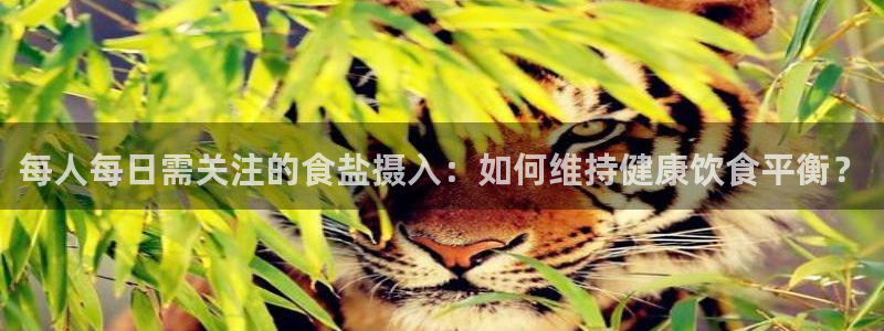 威九国际网站链接怎么打开