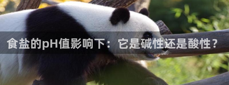 威九国际78m78下载