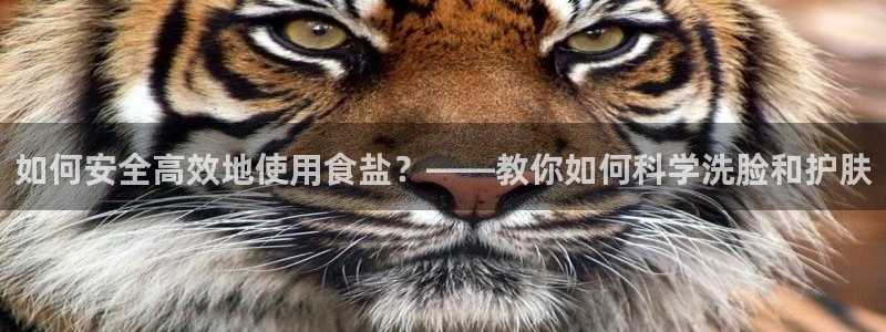 威九国际v96bet官网版