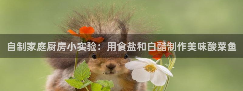 威九国际抡里